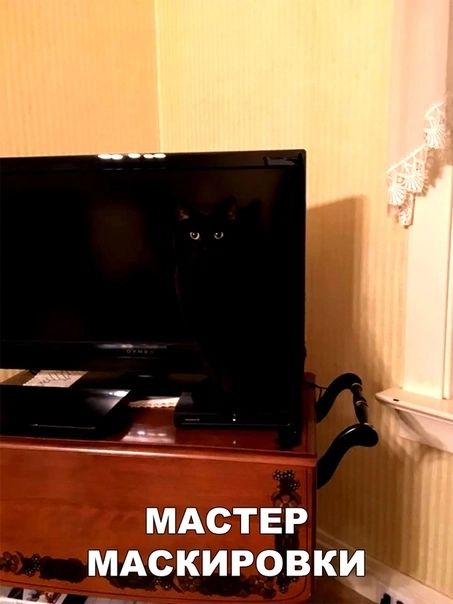 МАСТЕР МАСКИРОВКИ