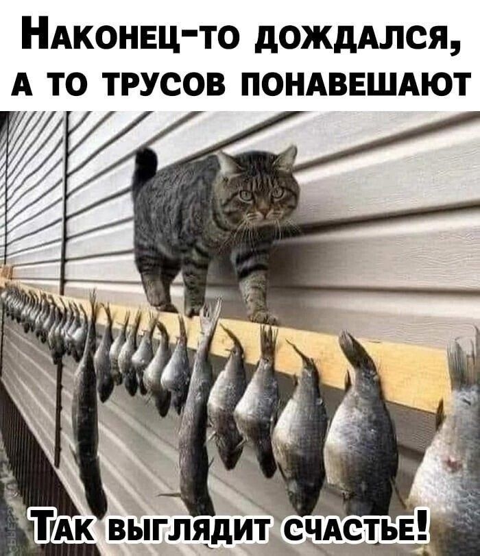 НАКОНЕЦТО дОЖдАЛСЯ А ТО ТРУСОВ ПОНАВЕШАЮТ