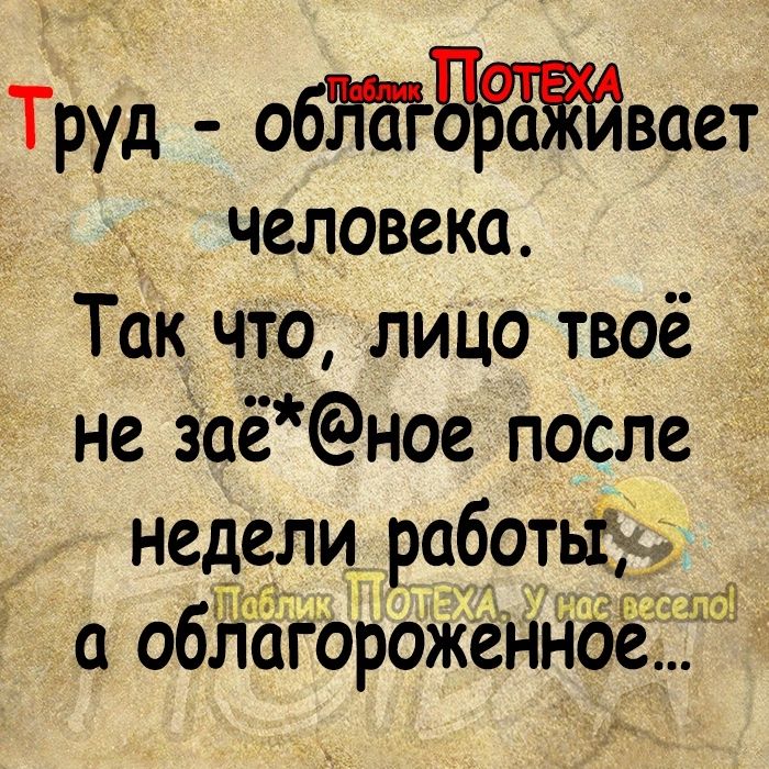 Труд обтвает человека Так что лицо твоё не заёное после недели работы облагороженнёр