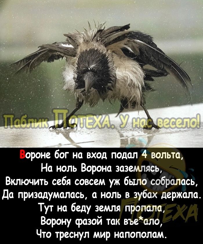 арене бог на вход подал 4 вольт На ноль Ворона аземпясь Включить себя совсем уж было собралась да призадумалась а ноль в зубах держала Тут на беду земля пропала Ворону фазой так въеало Что треснул мир напополам