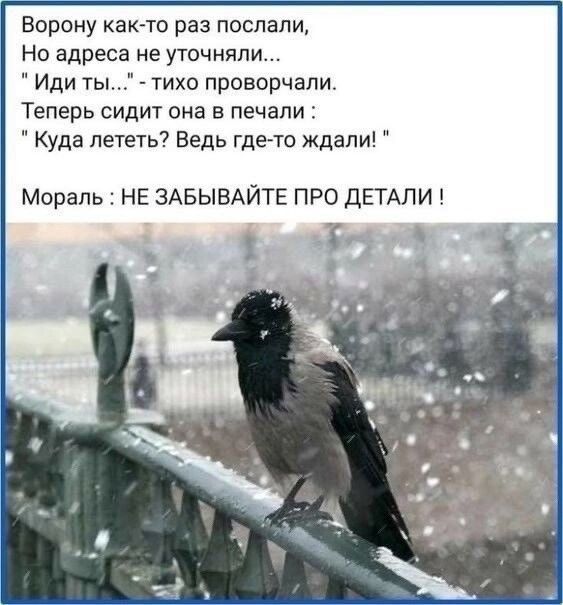 Ворону как то раз послали Но адреса не уточнили Иди ты тихо проворчапи Теперь сидит она в печали Куда лететь Ведь где то ждали Мораль НЕ ЗАБЫВАЙТЕ ПРО дЁГАПИ и