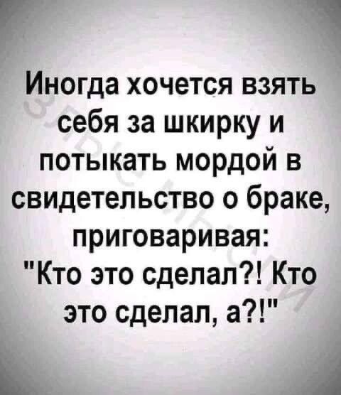 7 1 Иногда хочется взять себя за шкирку и потыкать мордой в свидетельство о браке приговаривая Кто это сделал Кто это сделал а К А