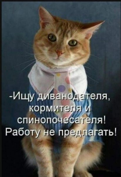 СПИНОП ГЕ Я Р аботушеЁр