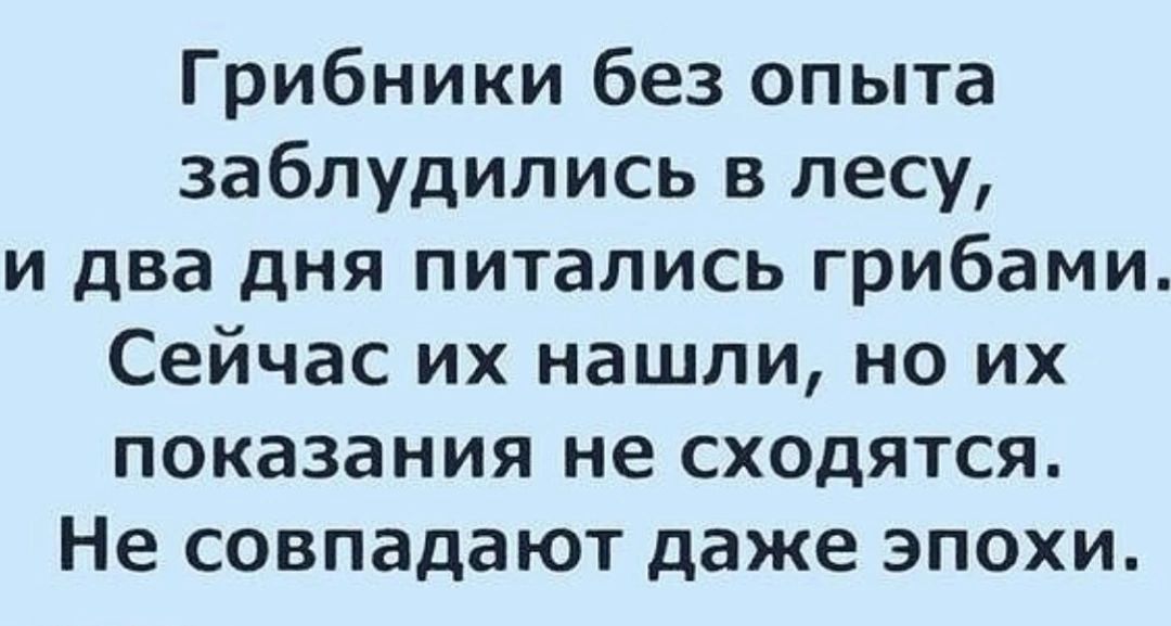 Грибники без опыта заблудились в лесу и два дня питались грибами Сейчас их нашли но их показания не сходятся Не совпадают даже эпохи