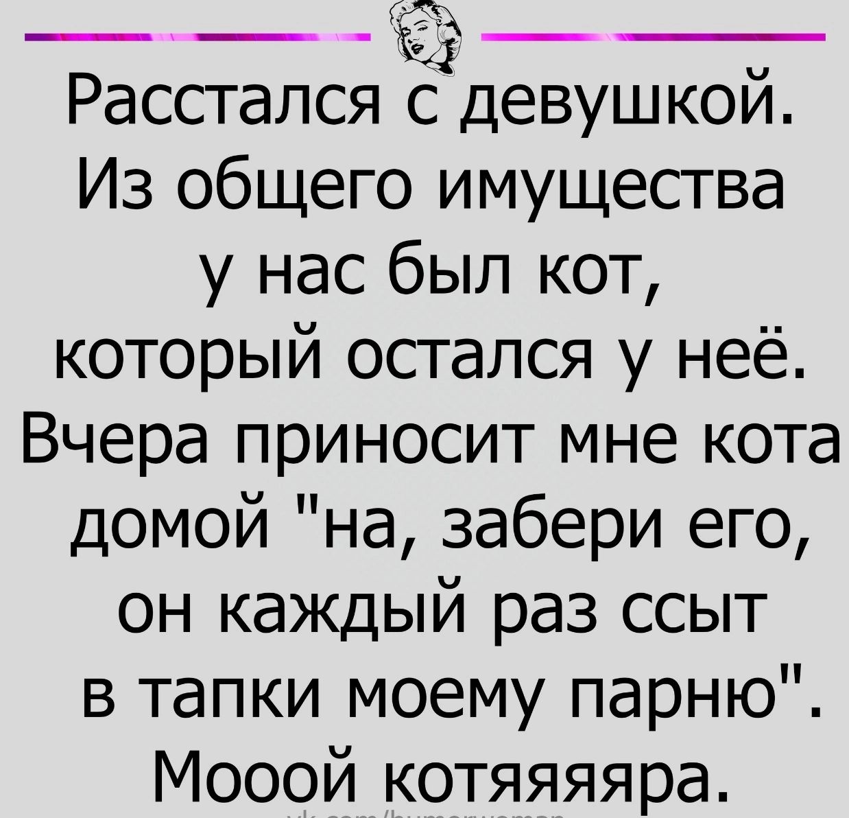 т __ _Зі3 Расстался с девушкой Из общего имущества у нас был кот который остался у неё Вчера приносит мне кота домой на забери его он каждый раз ссыт в тапки моему парню Мооой котяяяяра