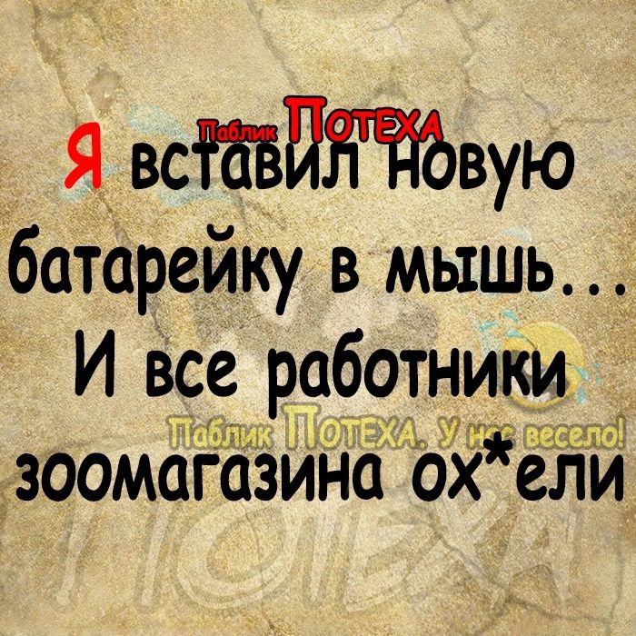 _ ЯдвсіаБптвую батарейку в мышь И все работники д зоомагазина оели