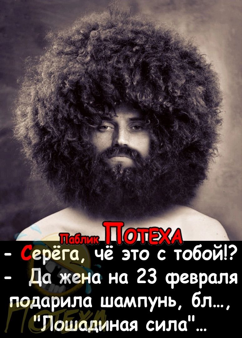 А ерёгс чё это с тобой Да жена на 23 февраля подарила шампунь бл Лошадиная сила