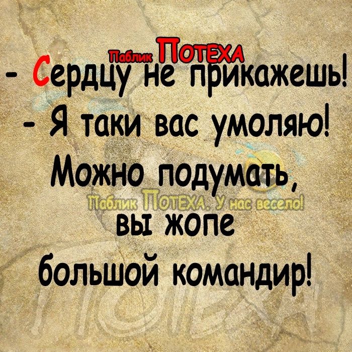 Сердьтчтеткожешь Я токи вос умоляю Можно подум ть вьіЗкопе большой командир