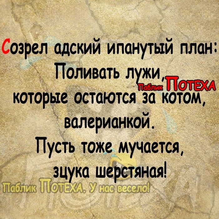 Созрел адский ипанутьтй план Поливать пеш которые остаются за котом воперианкой Пусть тоже мучается зц ка ше тяная АЁЁлШтПХуц расццші