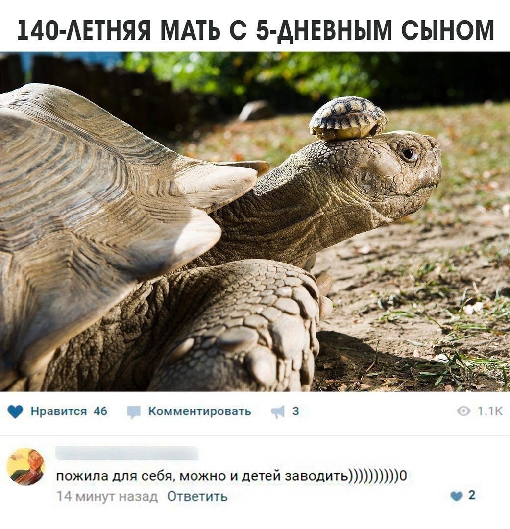 140 АЕТНЯЯ МАТЬ С 5 АНЕВНЫМ СЫНОМ ни 45 Квммешипивмь м себя и д заводпто тв 1