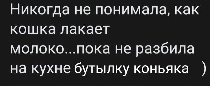 Никогда не понимала как кошка лакает молокопока не разбила на кухне бутылку коньяка