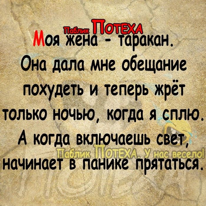 Моя Жгуткан Она дала мне обещание похудеть и теперь жрёт тольконочЬю когда я сплю А когда включаешь свет НачинаетЁ яіанике прята тЁсЁЩ