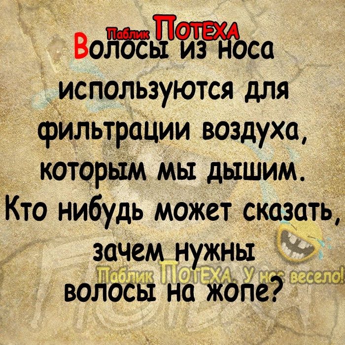 ВОЬЧСО используются для фильтрации воздуха которым мы дышим Кто нибудь может сказать і зачем нужны войосы на жопеуидд