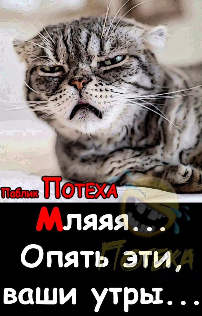 Мляяя Опять эти ваши утры