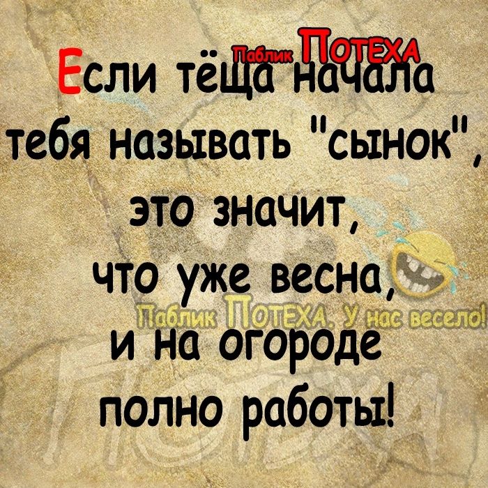 Если тёщга тебя называть сынок это значит чт9 уже весна _ и на огор0дё полно работы