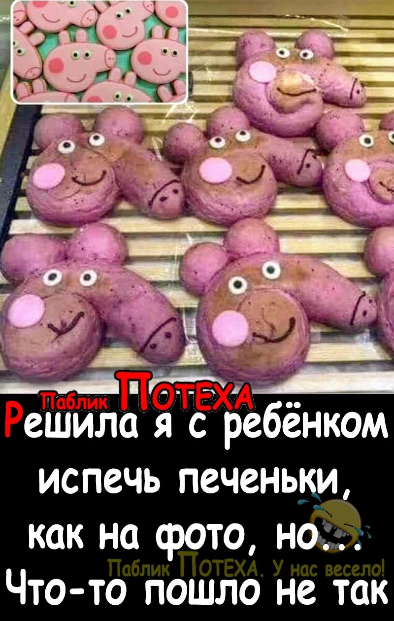 испечь печенькид как на фото НОЁ Что то пошло не так