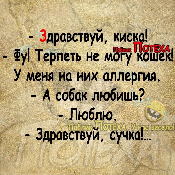 Здравствуй кис _ Фу Терпеть не МЩЧЗЙЁ У меня на них аллергия А собак любишь __ дЭ