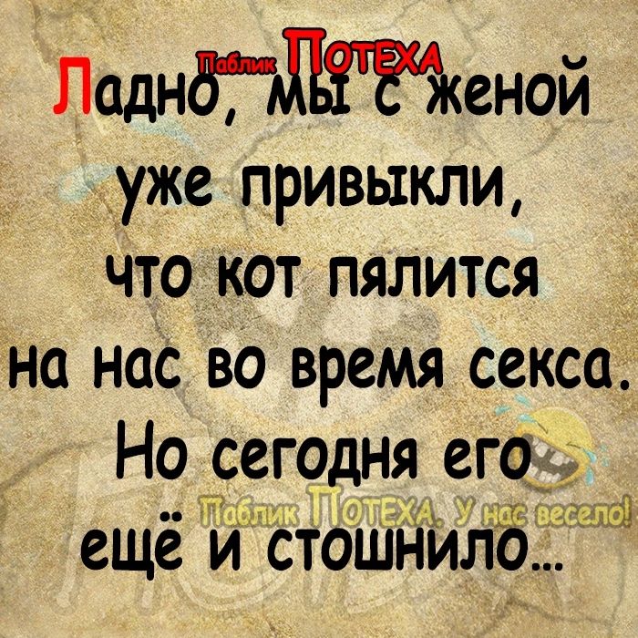 ЛаднГеной уже привыкли что _кот пялится _ на нас во время секса Но сегодня егб ещё и стошнилб