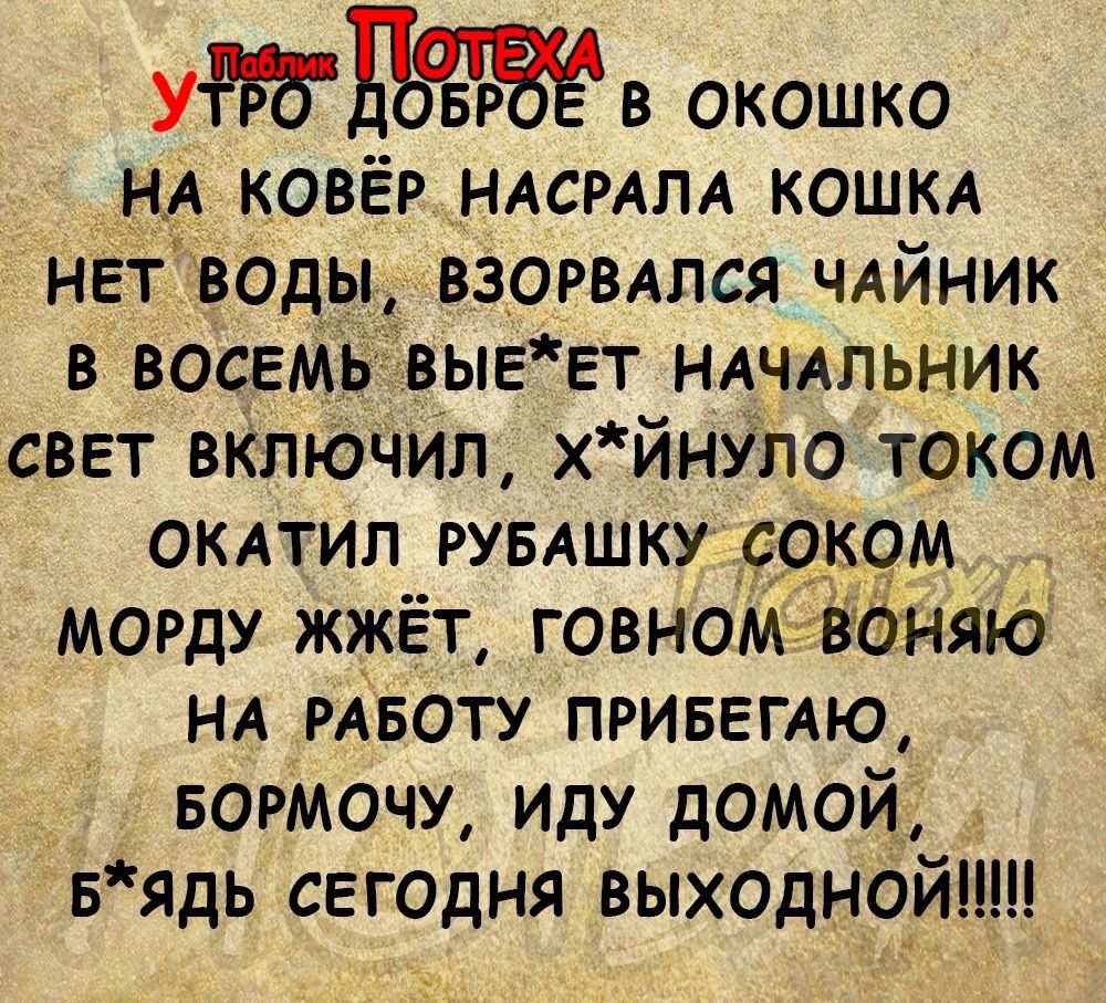 УМВ окошко НА ковёр НАСРАПА КОШКА нвтводы взорвдлся ЧАЙНИК в восвмв выёет ндчдпьник свет вКпючип хйнупо током ОКАТИЛ рувдшкудоком морду жжёт говноміёняю НА РАБОТУ привеглю БОРМОЧУ иду домой нядь сегодня выходнойш