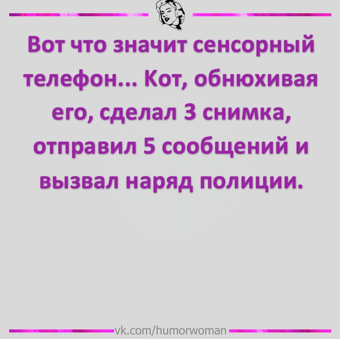 Вот что значит сенсорный телефон Кот обнюхивая его сделал 3 снимка отправил 5 сообщений и вызвал наряд полиции УКсотЬитпмотап