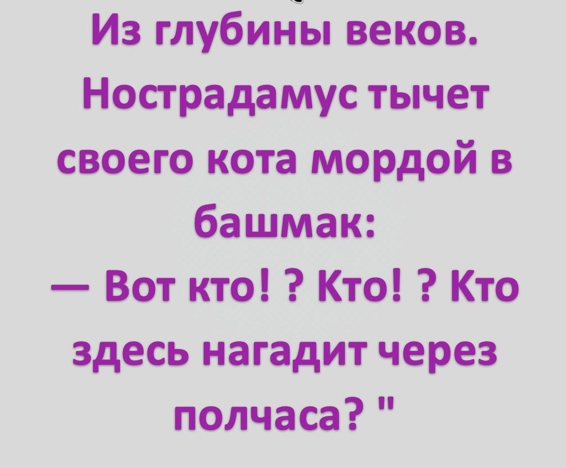 Из глубины веков Нострадамус тычет своего кота мордой в башмак Вот кто Кто Кто здесь нагадит через полчаса