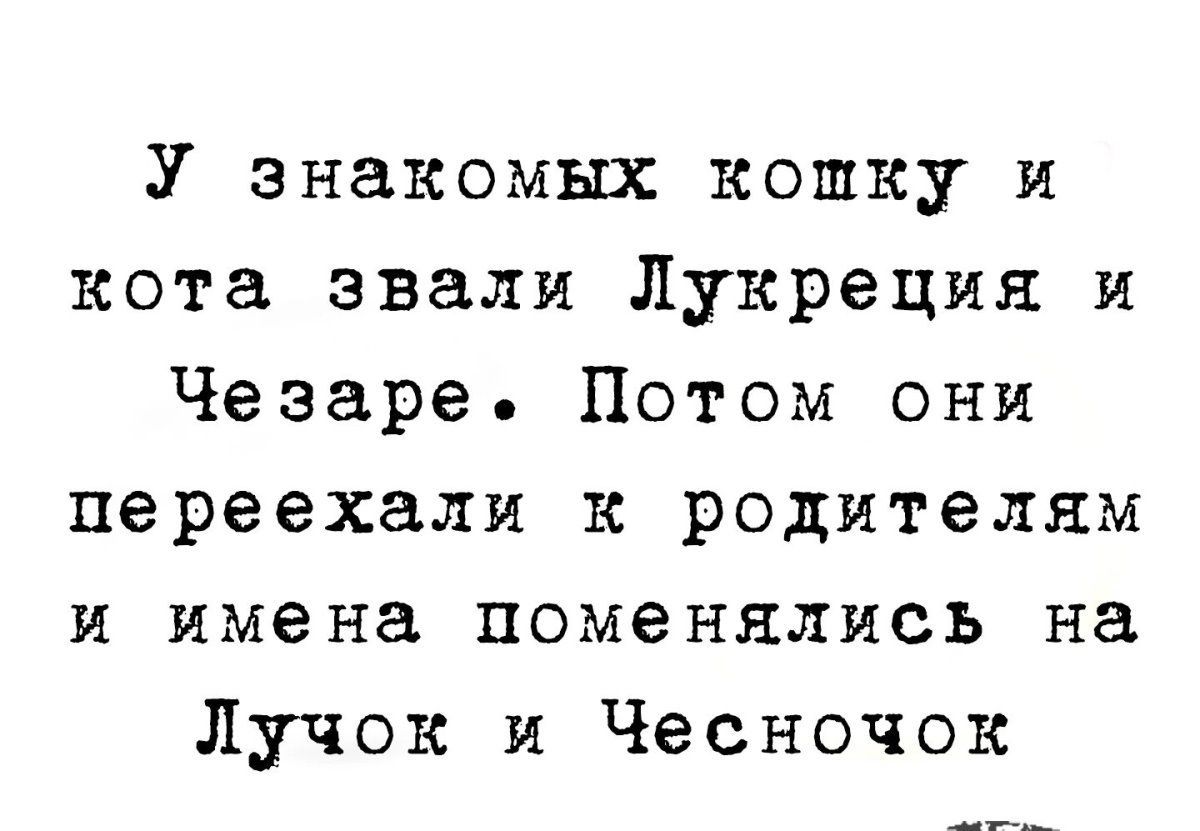 У знакомых кошку и кота звали Лукреция и Чезаре Потом они переехали к родителям и имена поменялись на Пучок и Чесночок