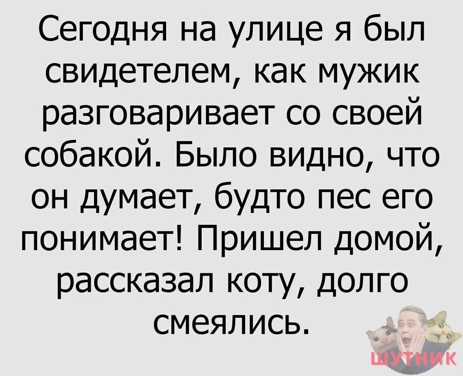 Сегодня на улице я был свидетелем как мужик разговаривает со своей собакой Было видно что он думает будто пес его понимает Пришел домой рассказал коту долго смеялись