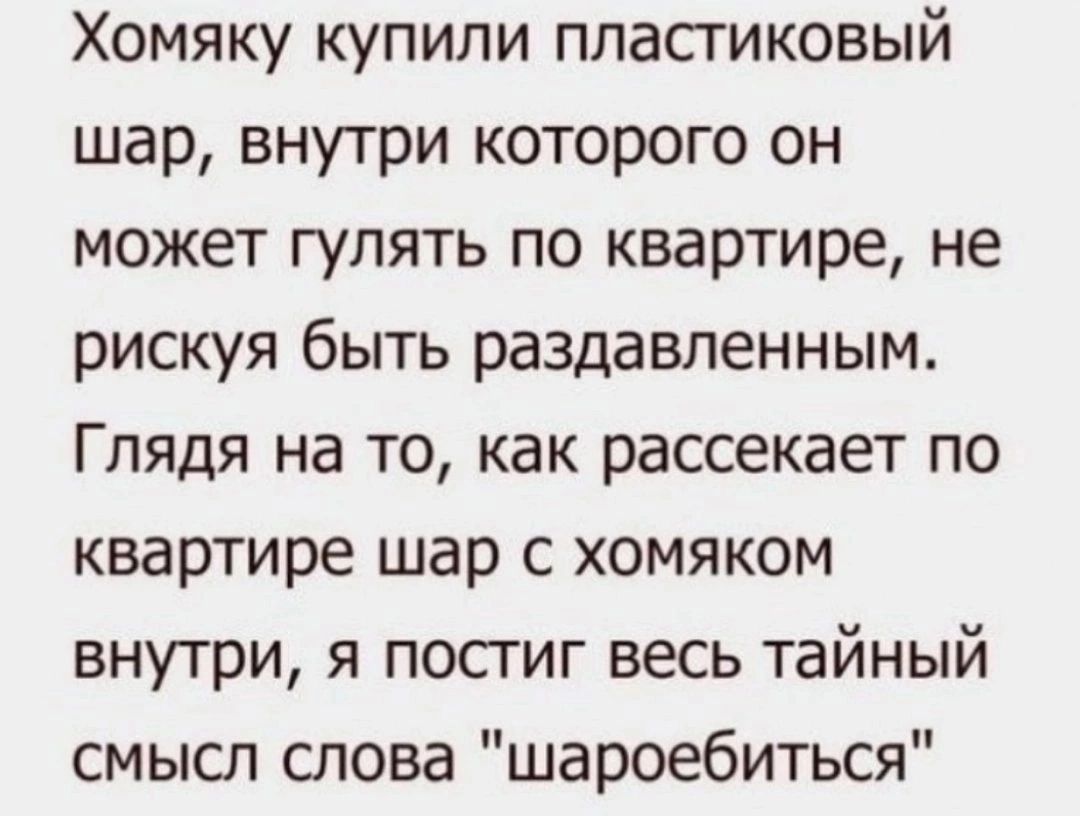 Хомяку купили пластиковый шар внутри которого он может гулять по квартире не рискуя быть раздавленным Глядя на то как рассекает по квартире шар с хомяком внутри я посгиг весь тайный смысл слова шароебиться