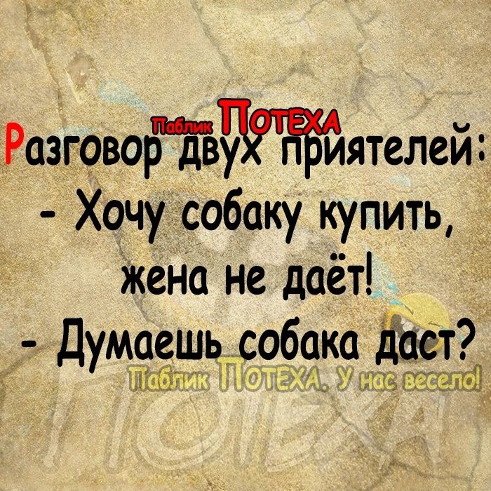 Разговобдву иятелей Хочу собаку купить Жена не даёт Думаешь собака даёт и 13 тіэгі