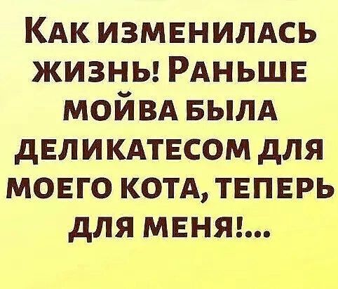 КАк изменилдсь жизны РАНЬШЕ мойвд вылд дЕликдтвсом для моего котд твпврь для мвнт