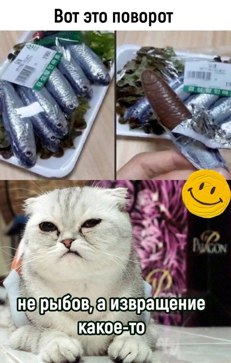 Вот это поворот