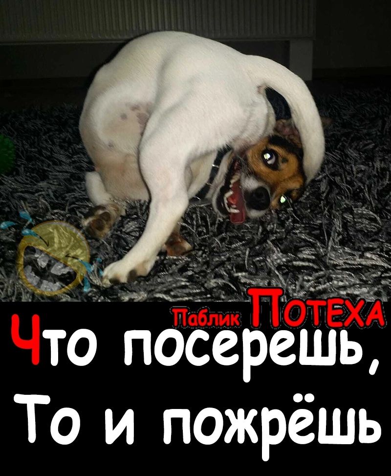 то пасерешь То и пожрёшь