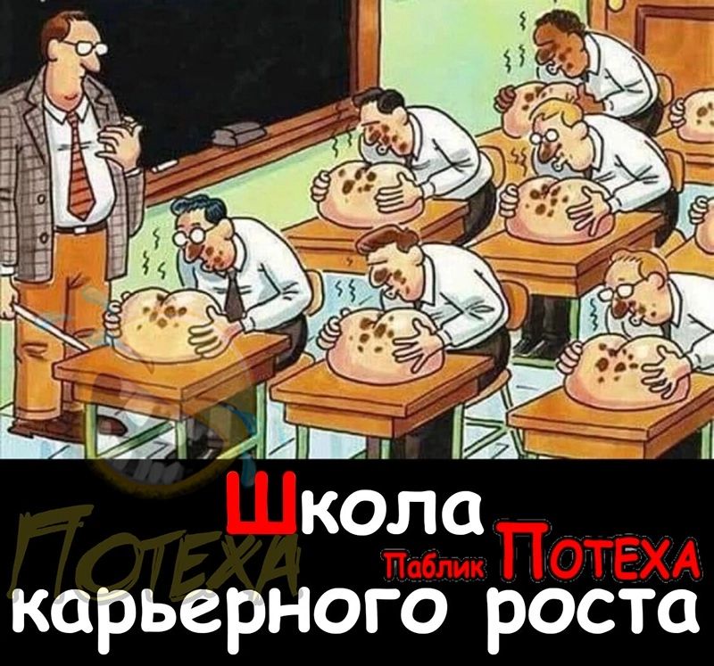 кола _ карьерного роста