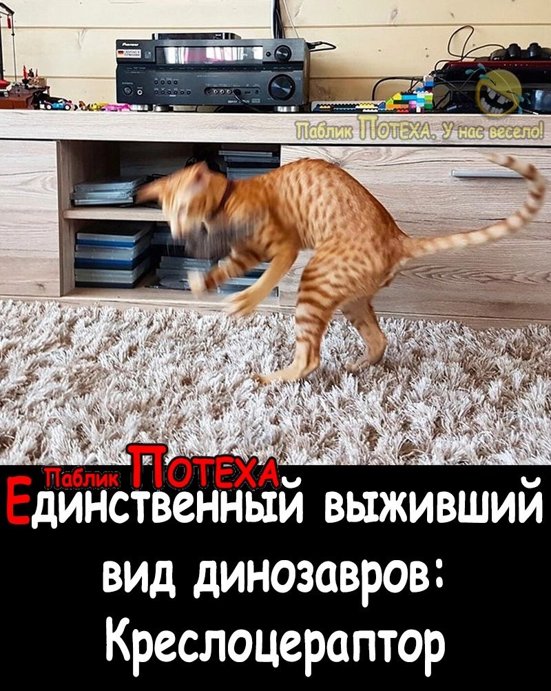 Петах Единственным выжившим вид динозавров Креслоцераптор