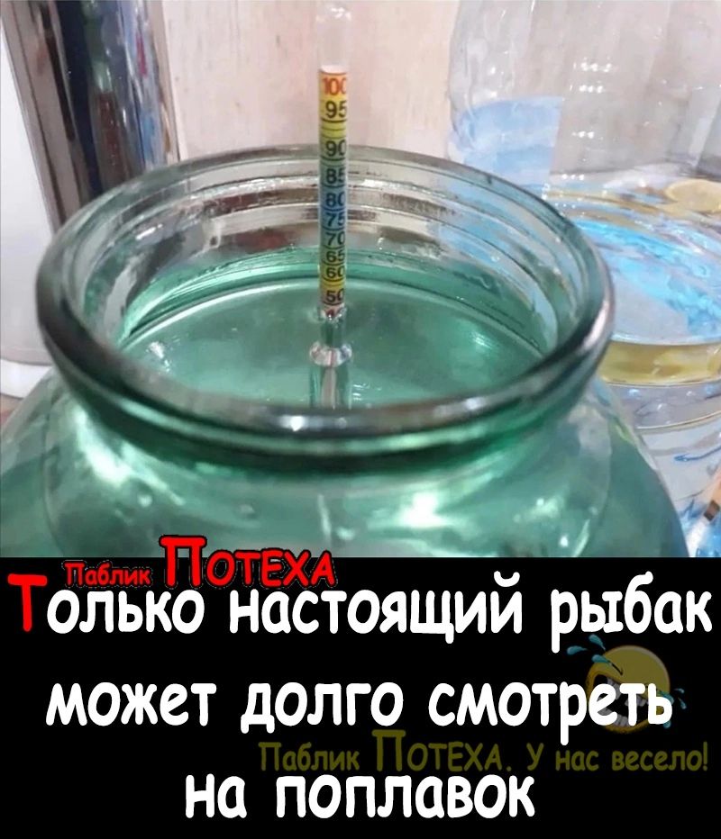 олько настоящий рыбок может долго смотреть на поплавок