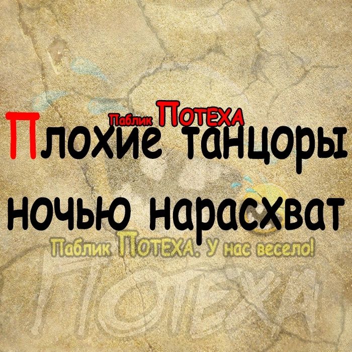 Паопцоры ночью нарасхват Т