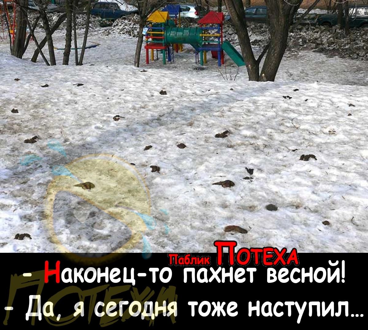 ТТотЕХА п Наконец то пахнет веснои Да я сегодня тоже наступил