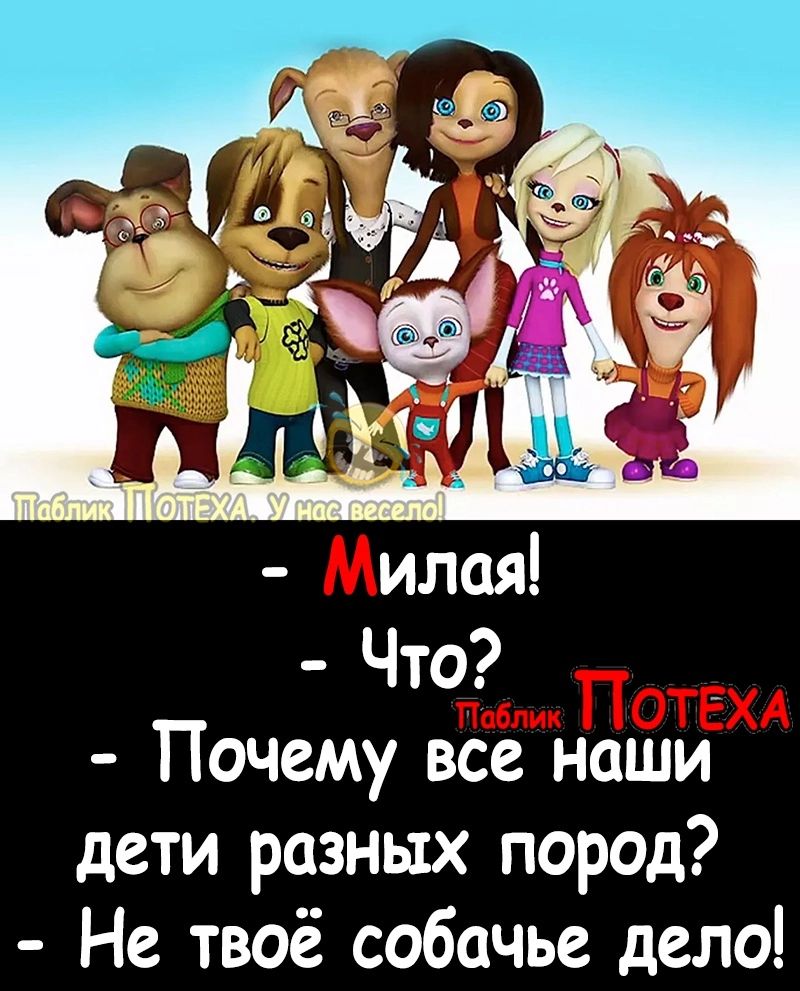 Почему все наши дети разных пород Не твоё собачье дело