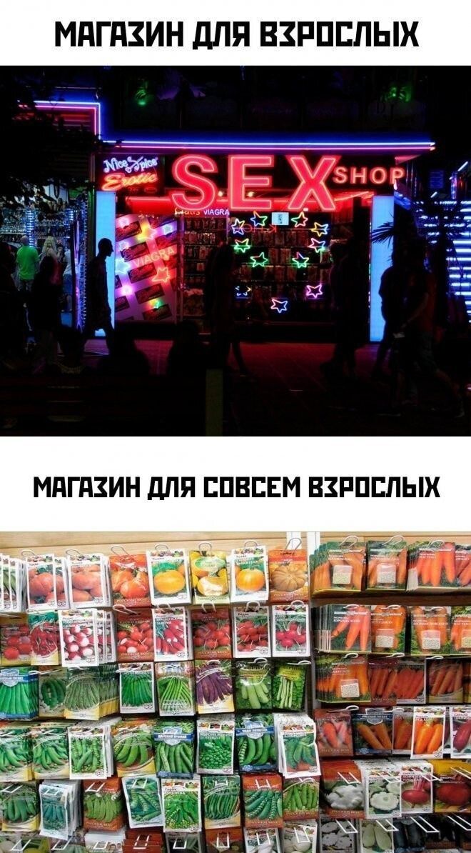 МПГПЗИН ЛПП ВЗРПЕПЫХ