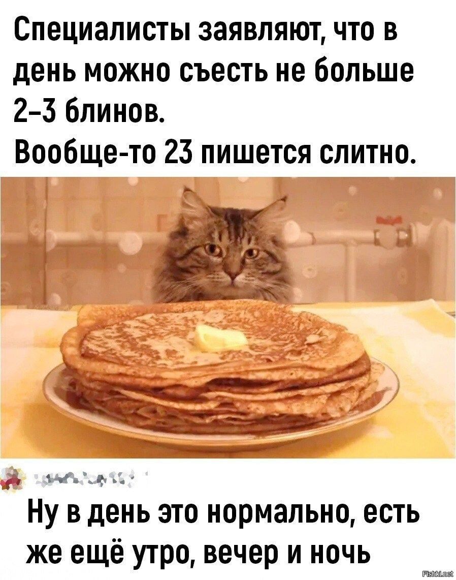 СПЕЦИЗЛИСТЫ заявляют ЧТО В день можно съесть не больше 23 блинов Вообще тп 23 пишется слитно ць Ну в день это нормально есть же ещё утро вечер и ночь