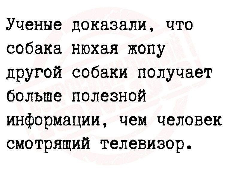 Ученые доказали что собака нюхая жопу другой собаки получает больше полезной информации чем человек смотрящий телевизор