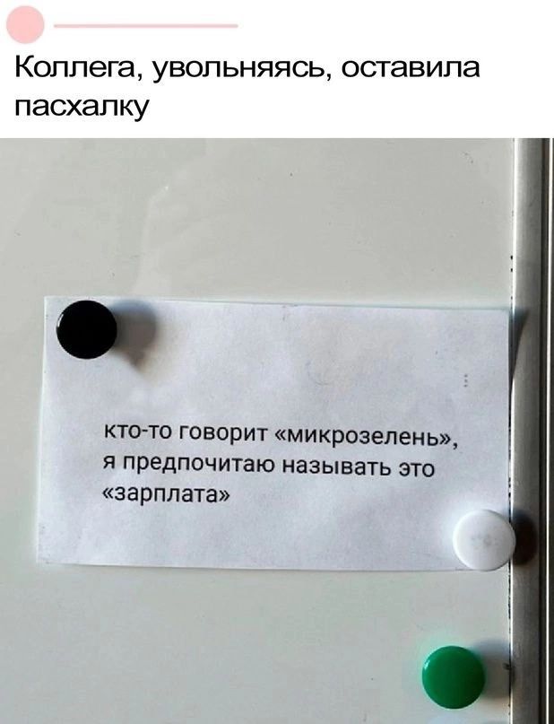 Коллега увопьняясь оставила пасхап ку кто то говорит микроплень я предпочитаю называть это зарплата