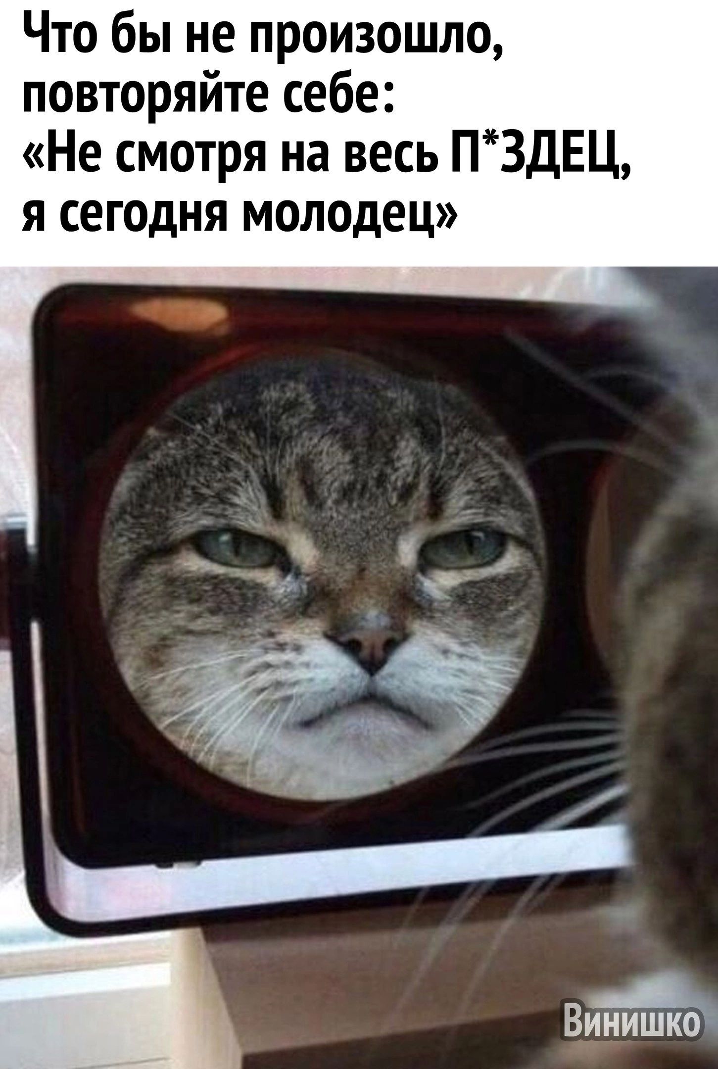 Что бы не произошло повторяйте себе Не смотря на весь ПЗДЕЦ я сегодня молодец