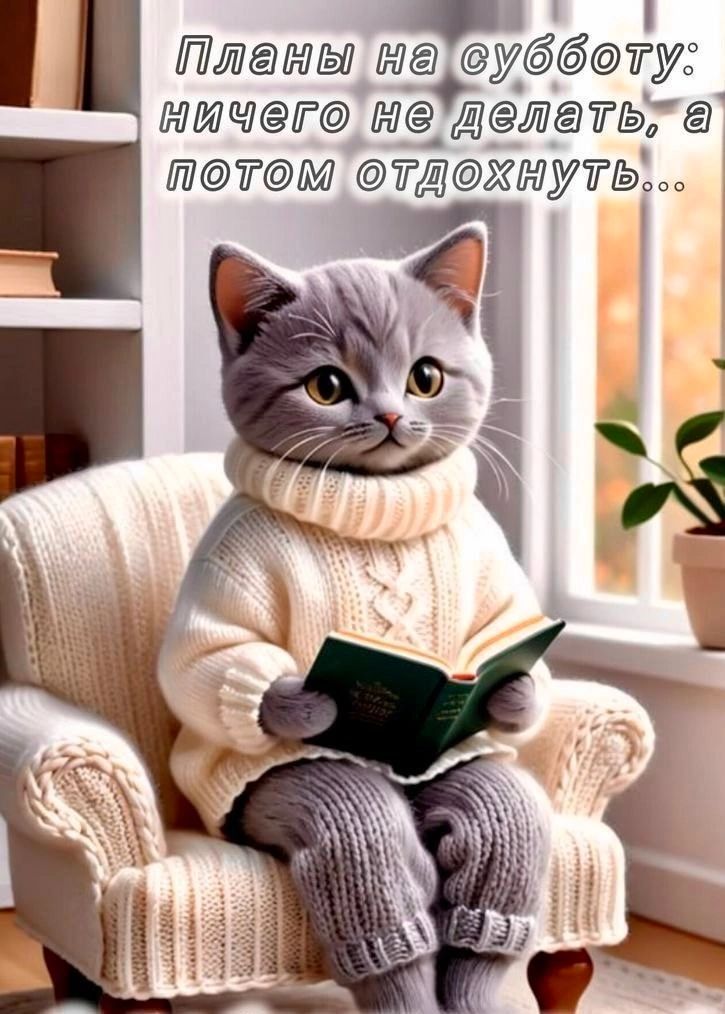 _ Платы мащббтуд щитаю дитё ттм тджмугь