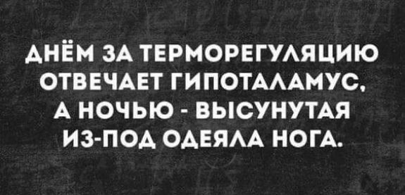 АНЁМ ЗА ТЕРМОРЕГУАЯЦИЮ ОТВЕЧАЕТ ГИПОТАААМУС А НОЧЬЮ ВЫСУНУТАЯ ИЗ ПОА ОАЕЯАА НОГА