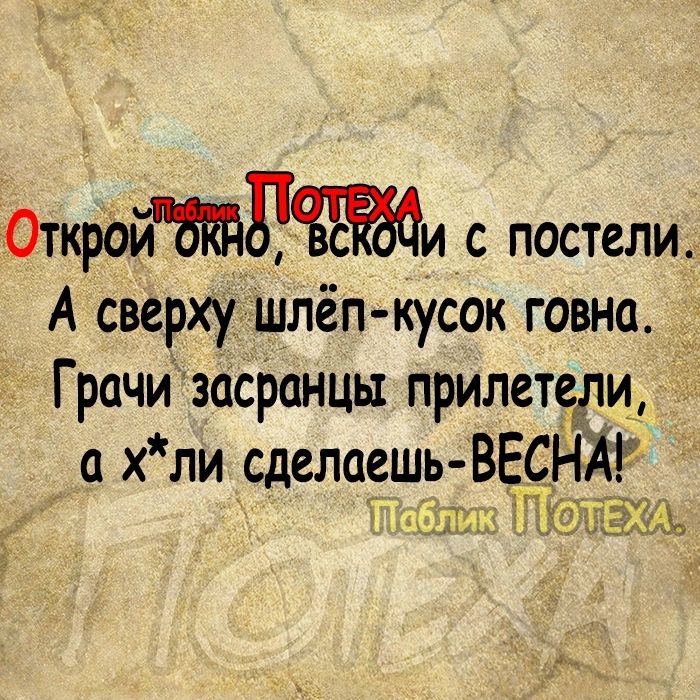 Откр6пи с постели А сверху шлёп кусок говна Грачи засранцы прилетегли а хли сделаешь ВЕСН ЮгуА