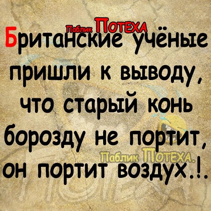 Бритададдйёные пришли к выводу что старый конь борозду не по _ит гон портит воздух