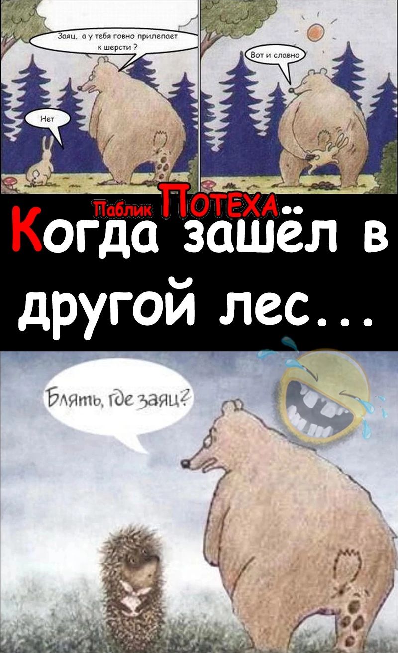 огда зашёл в другой лес