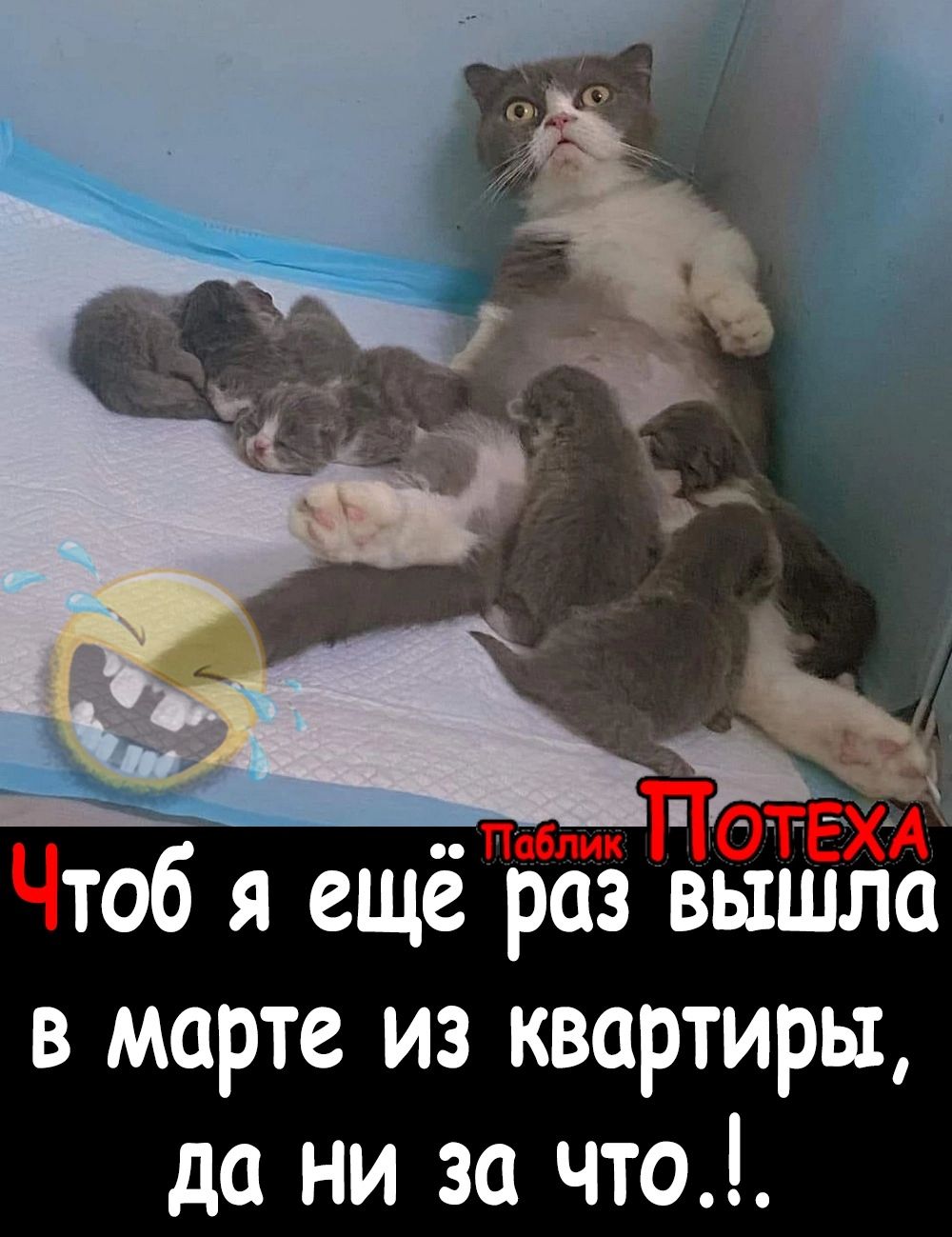 Чтоб я ещёпбё вышла в марте из квартиры да ни за что