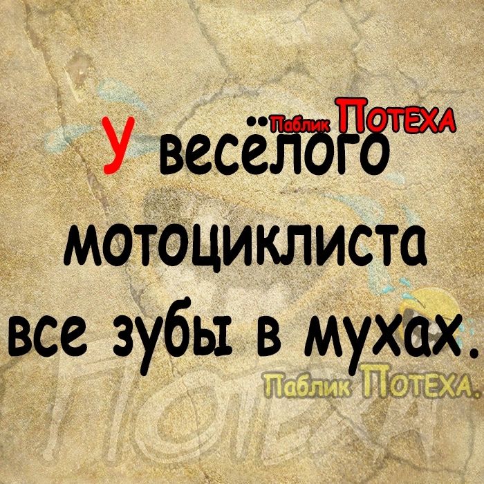 У весёЁбРбш мотоциклиста все зубы в мухах т